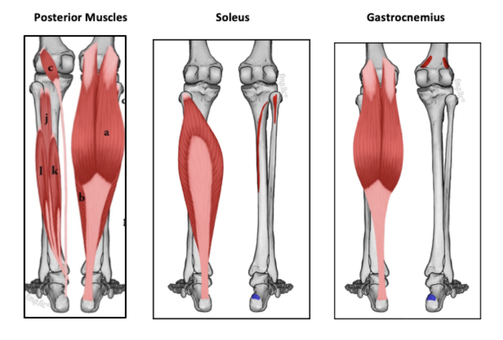 Common Achilles Injury Symptoms and When To Seek Help