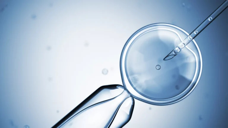The Role of Genetics in IVF Success