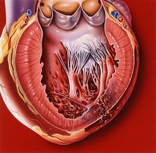 Understanding the Latest Advances in Cardiology for Heart Disease Treatment