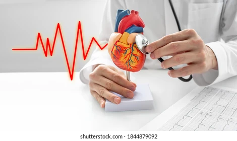 Cardiology Checkups You Shouldn’t Skip