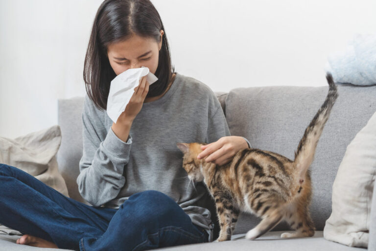 How To Manage Asthma During Allergy Season