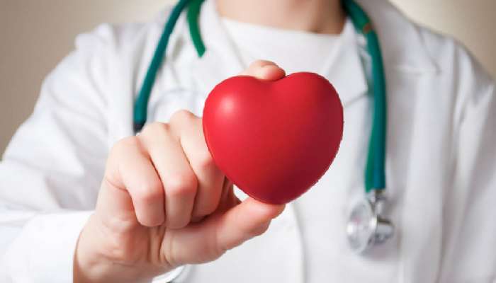 # Key Questions to Ask Your Heart Doctor About Heart Disease