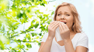 Natural Remedies to Alleviate Symptoms of Seasonal Allergies