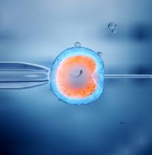 FAQs About Infertility